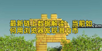 最新链上数据解读：当前如何用浏览器发现潜力币