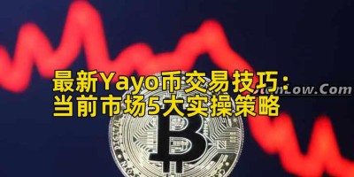 最新Yayo币交易技巧：当前市场5大实操策略
