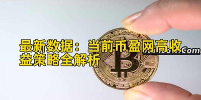 最新数据：当前币盈网高收益策略全解析