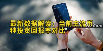最新数据解读：当前主流币种投资回报率对比