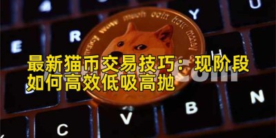 最新猫币交易技巧：现阶段如何高效低吸高抛