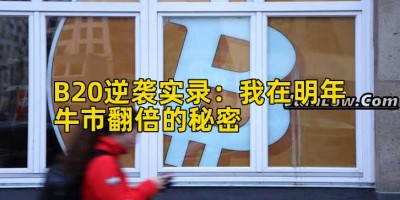 B20逆袭实录：我在明年牛市翻倍的秘密