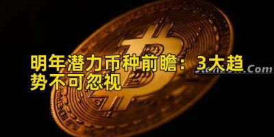 明年潜力币种前瞻：3大趋势不可忽视