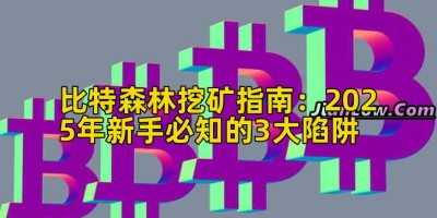 比特森林挖矿指南：2025年新手必知的3大陷阱