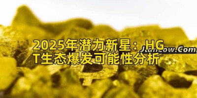 2025年潜力新星：HGT生态爆发可能性分析