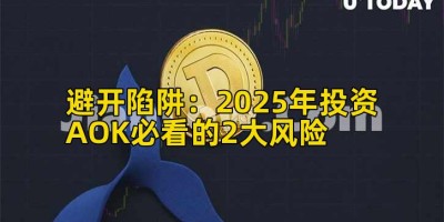 避开陷阱：2025年投资AOK必看的2大风险