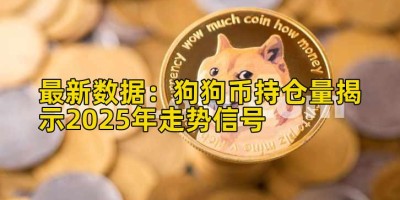 最新数据：狗狗币持仓量揭示2025年走势信号