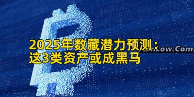 2025年数藏潜力预测：这3类资产或成黑马