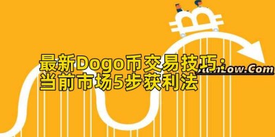 最新Dogo币交易技巧：当前市场5步获利法