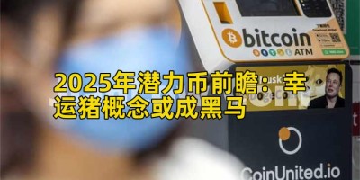 2025年潜力币前瞻：幸运猪概念或成黑马