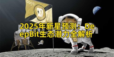 2025年新星预测：DeepBit生态潜力全解析