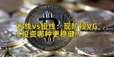 长线vs短线：现阶段VGC投资哪种更稳健？