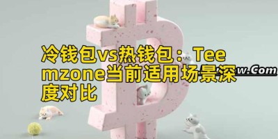 冷钱包vs热钱包：Teemzone当前适用场景深度对比