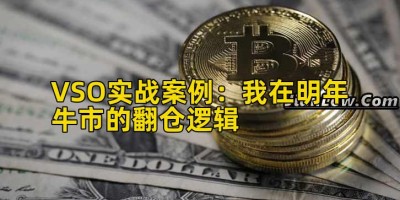VSO实战案例：我在明年牛市的翻仓逻辑