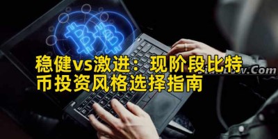 稳健vs激进：现阶段比特币投资风格选择指南