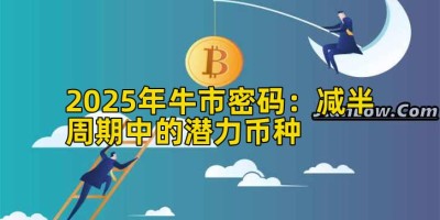 2025年牛市密码：减半周期中的潜力币种