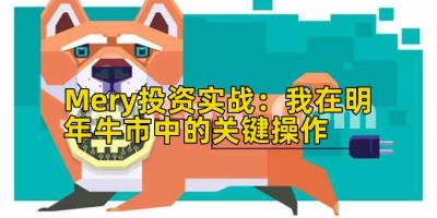 Mery投资实战：我在明年牛市中的关键操作