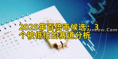 2025年百倍币候选：3个被低估的赛道分析