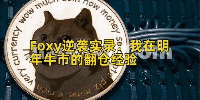 Foxy逆袭实录：我在明年牛市的翻仓经验