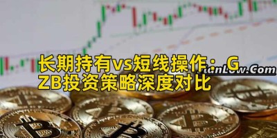 长期持有vs短线操作：GZB投资策略深度对比