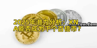 2025年潜力分析：XNA能否成为下个百倍币？