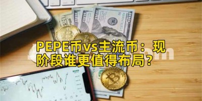 PEPE币vs主流币：现阶段谁更值得布局？