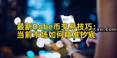 最新Dobe币交易技巧：当前市场如何精准抄底
