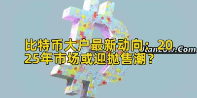 比特币大户最新动向：2025年市场或迎抛售潮？