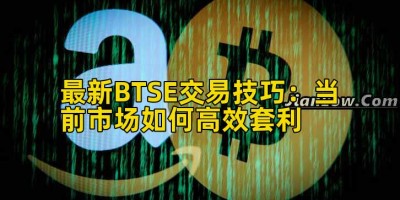 最新BTSE交易技巧：当前市场如何高效套利