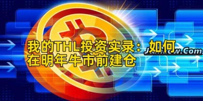 我的THL投资实录：如何在明年牛市前建仓