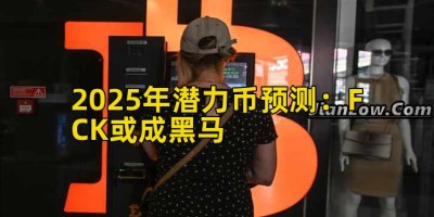 2025年潜力币预测：FCK或成黑马