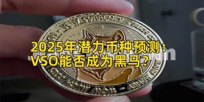 2025年潜力币种预测：VSO能否成为黑马？