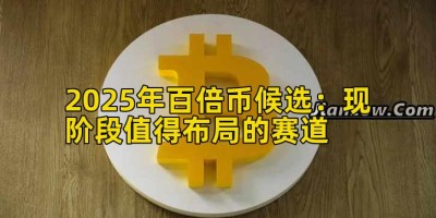 2025年百倍币候选：现阶段值得布局的赛道