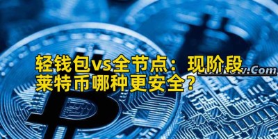 轻钱包vs全节点：现阶段莱特币哪种更安全？