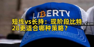 短线vs长持：现阶段比特28更适合哪种策略？