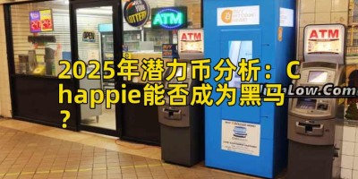 2025年潜力币分析：Chappie能否成为黑马？