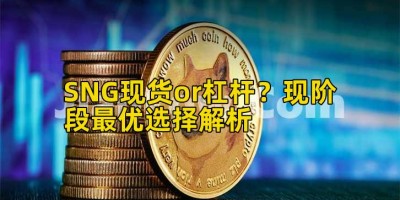 SNG现货or杠杆？现阶段最优选择解析