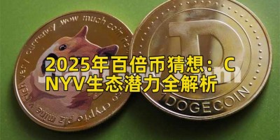 2025年百倍币猜想：CNYV生态潜力全解析