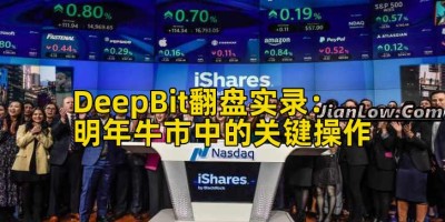 DeepBit翻盘实录：明年牛市中的关键操作