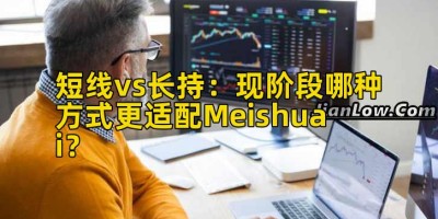 短线vs长持：现阶段哪种方式更适配Meishuai？