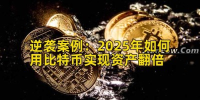 逆袭案例：2025年如何用比特币实现资产翻倍