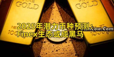 2025年潜力币种预测：Finex生态或成黑马