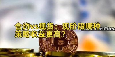 合约vs现货：现阶段哪种策略收益更高？