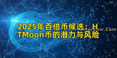 2025年百倍币候选：HTMoon币的潜力与风险
