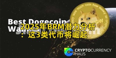 2025年BRM潜力分析：这3类代币将崛起