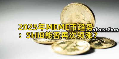 2025年MEME币趋势：SHIB能否再次领涨？