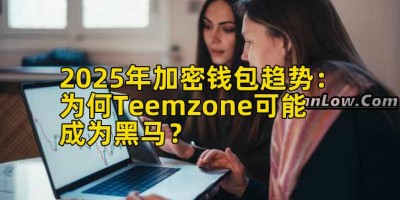2025年加密钱包趋势：为何Teemzone可能成为黑马？