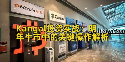 Kangal投资实战：明年牛市中的关键操作解析