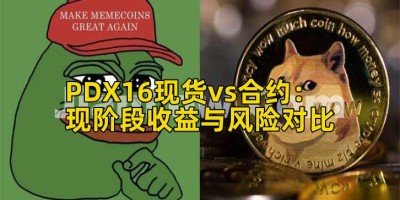 PDX16现货vs合约：现阶段收益与风险对比