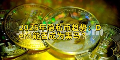 2025年隐私币趋势：Dero能否成为黑马？